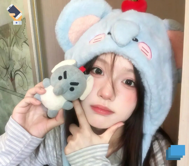 高磊先生